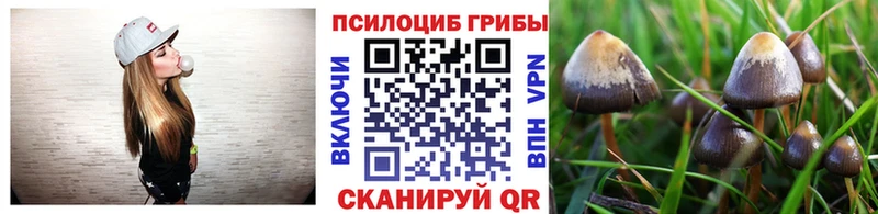Галлюциногенные грибы прущие грибы как найти закладки Саранск